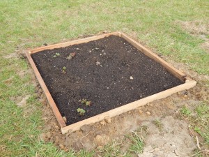 rutabaga-box