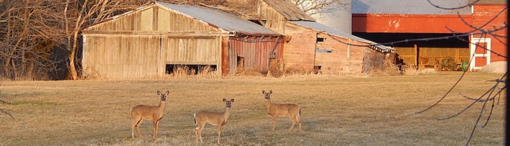 8 Point Farm