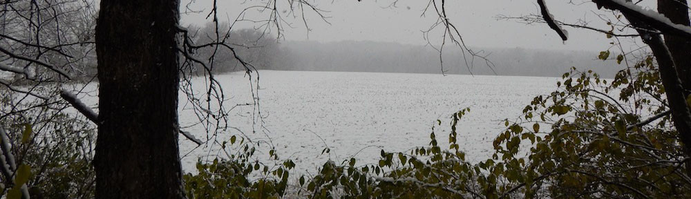 8 Point Farm